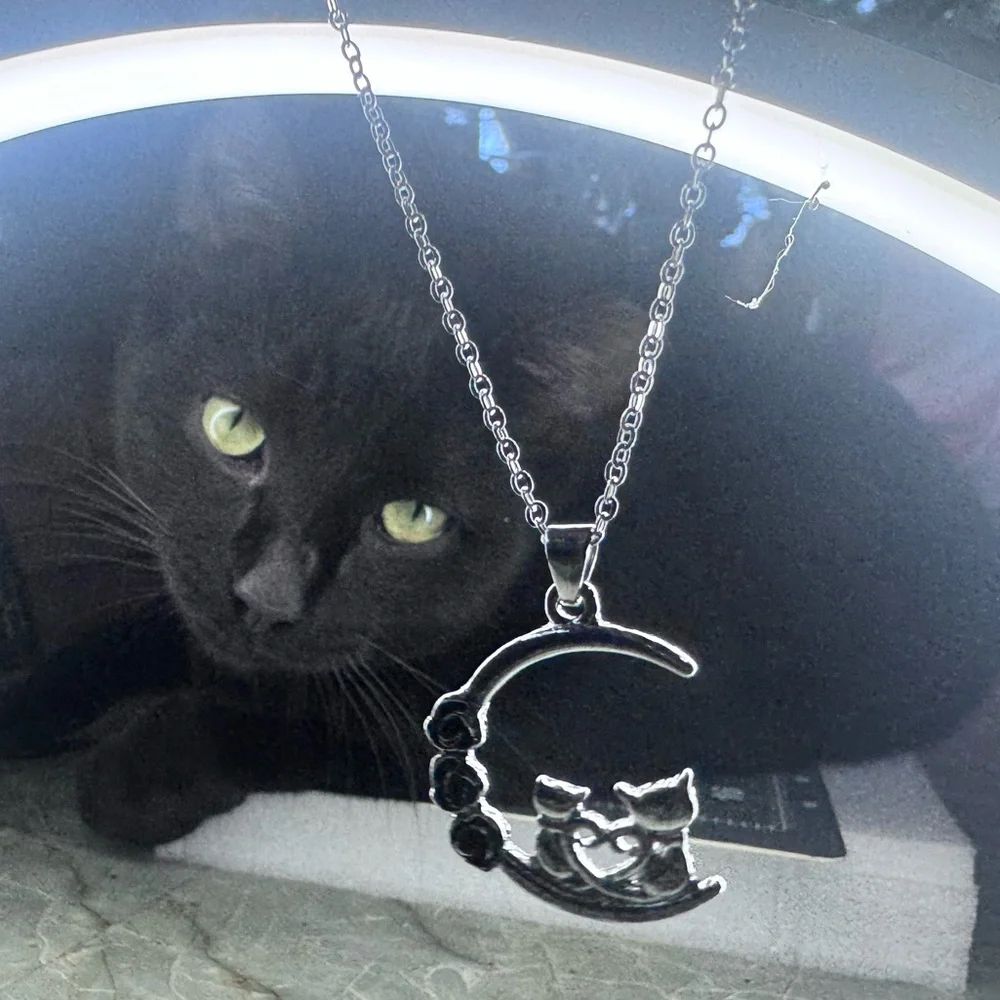 Elegant Black Cat Moon Pendant Necklace